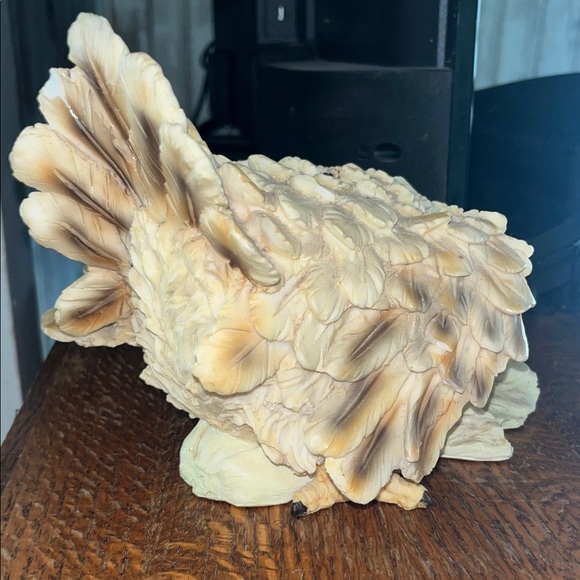 Rustic Chicken Lot - Picture 11 of 13